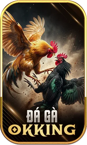 Đá gà Okking